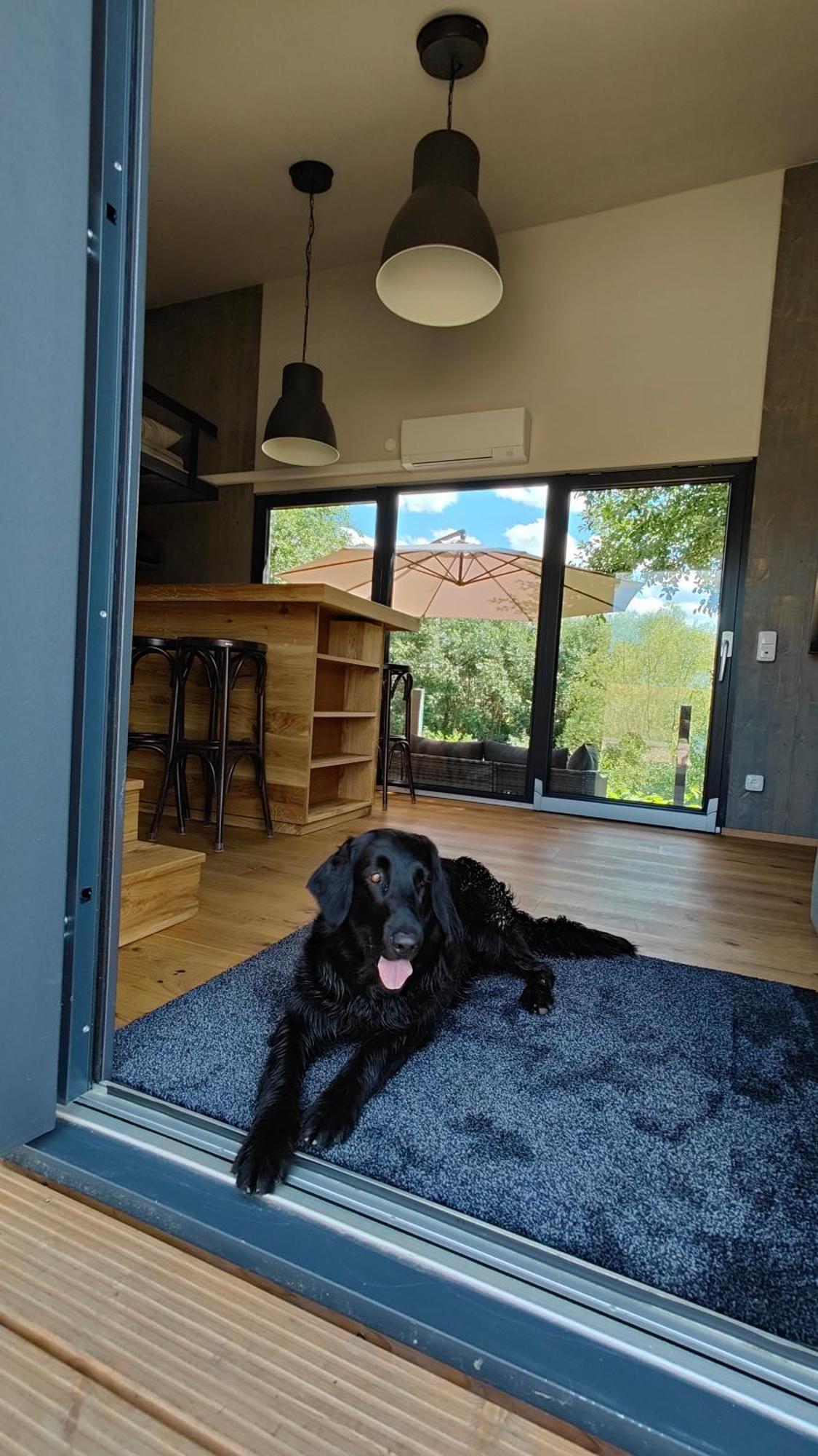 Tinyhousebeidresden 3 Fuer 2 - 7 Personen, Naehe Saechsische Schweiz, Dresden, Mit Badeteich Villa Großharthau Eksteriør billede