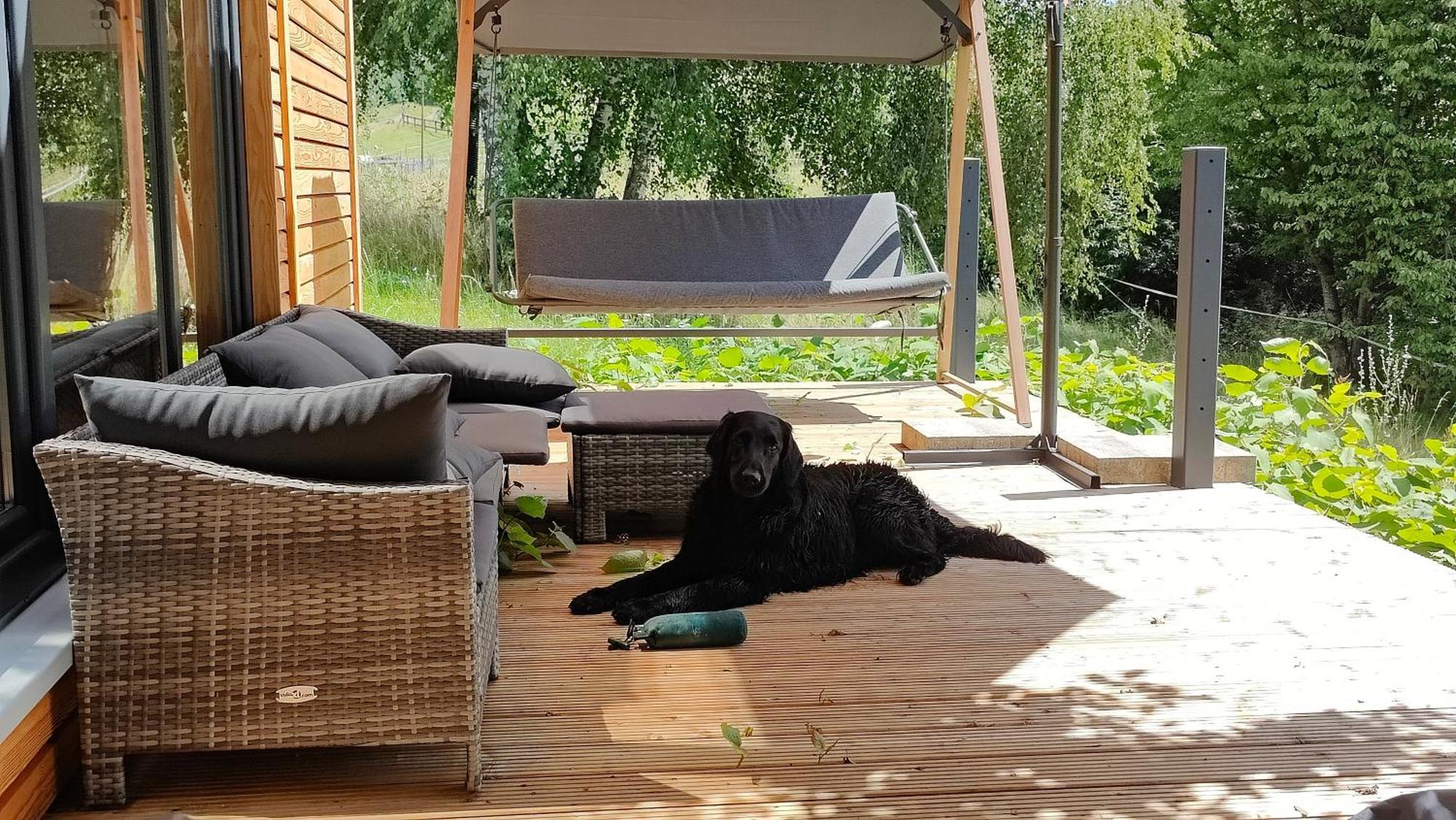 Tinyhousebeidresden 3 Fuer 2 - 7 Personen, Naehe Saechsische Schweiz, Dresden, Mit Badeteich Villa Großharthau Eksteriør billede
